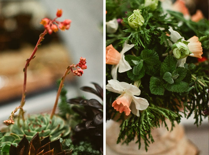 More Lila B. flower details at Viansa Winery by Sonoma wedding photographer, Tinywater Photography Lila B. close up details and Viansa Winery photos by Sonoma wedding photographer, Tinywater Photography