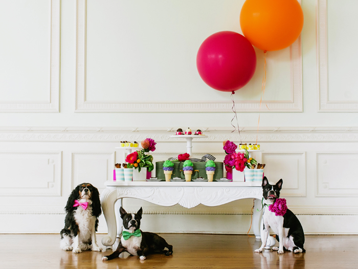 puppy styled party