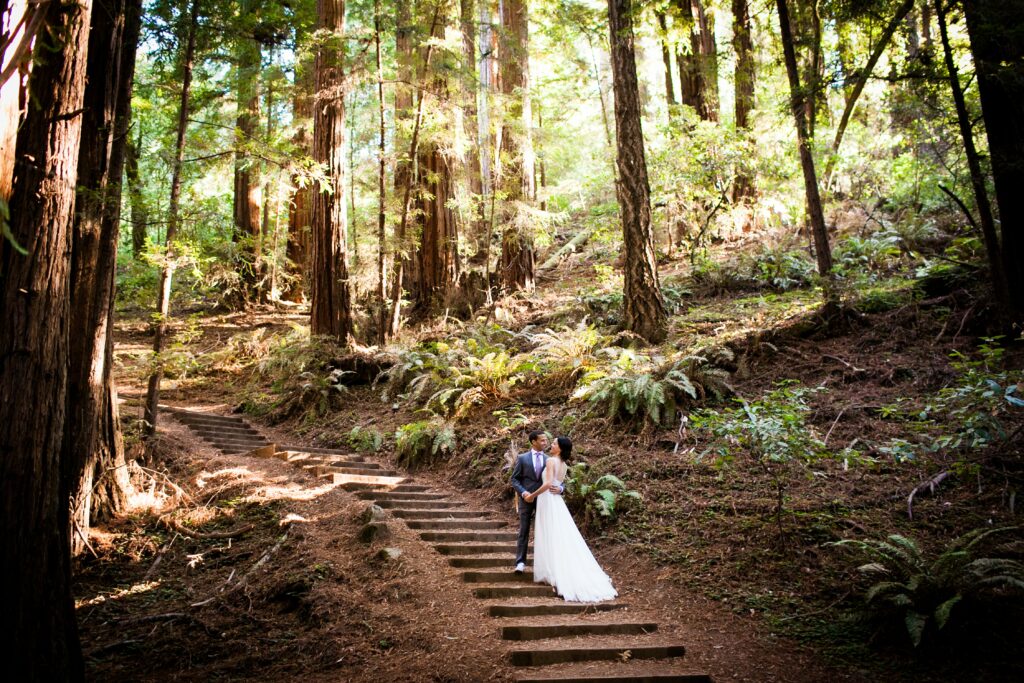 Best Elopement Locations in northern california, wedding in a red wood forest 