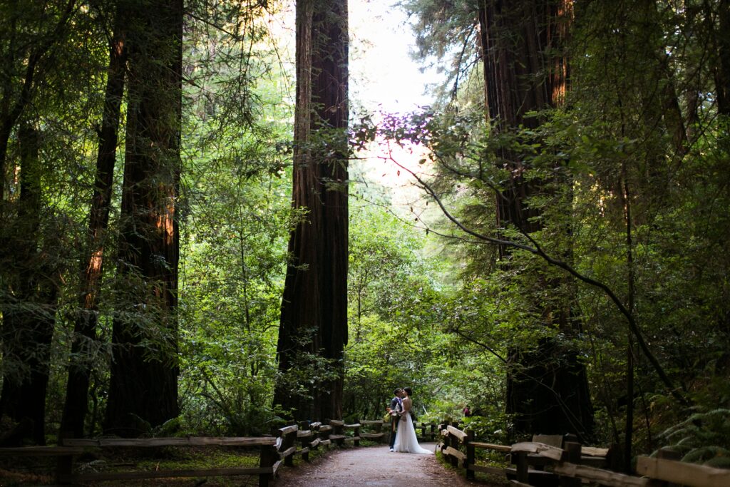Best Elopement Locations in northern california bride and groom in forest on bridge