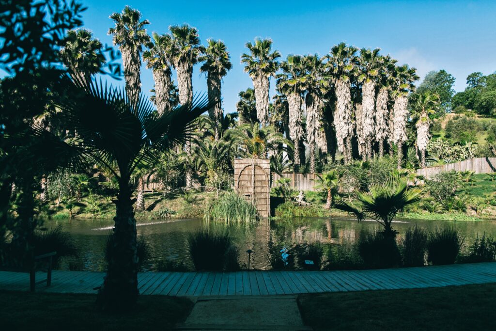 tropical oasis wedding venue 5 northern california venues